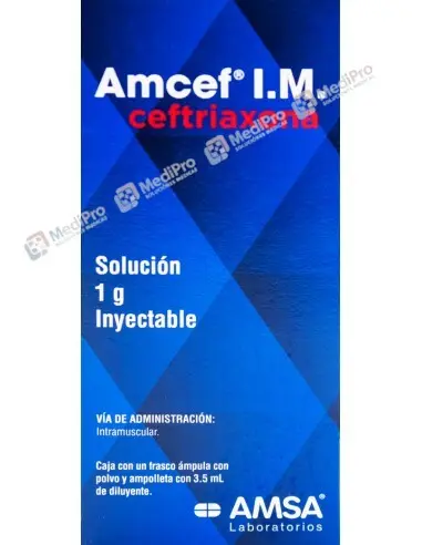 AMCEF (CEFTRIAXONA) SOL INY 1 GR IM C/1 AMP AMSA