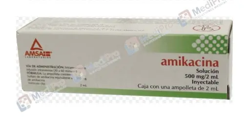 AMIKACINA GI IM-IV 500 MG INY 1*AMSA