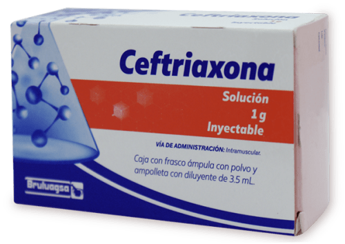 CEFTRIAXONA SOL INY 1 GR IM C/1 AMP BRULUAGSA