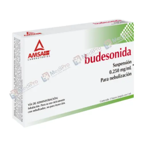 BUDESONIDA SUSP P/NEB C/5 AMP 2ML 0.250MG AMSA