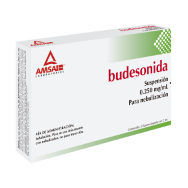 BUDESONIDA SUSP P/NEB C/5 AMP 2ML 0.250MG AMSA