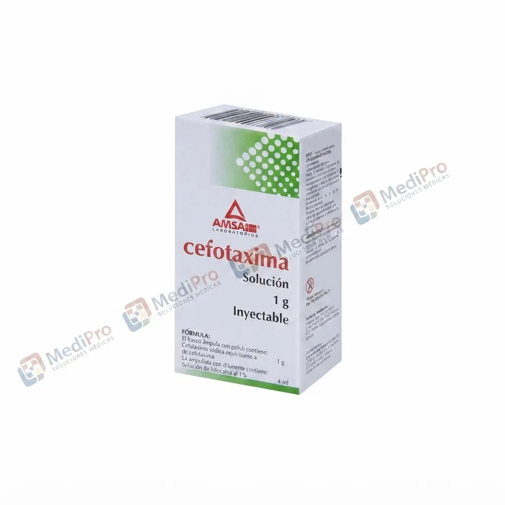 CEFOTAXIMA SOL INY I G I.M C/1 AMP AMSA