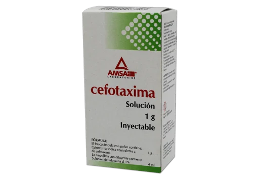 CEFOTAXIMA SOL INY I G I.M C/1 AMP AMSA