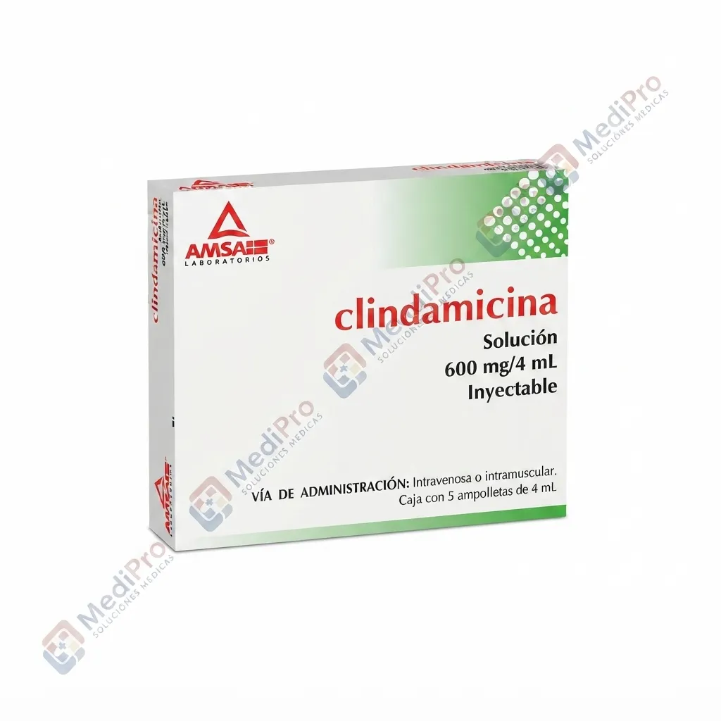 CLINDAMICINA SOL INY 600 ML/4 ML C/5 AMSA