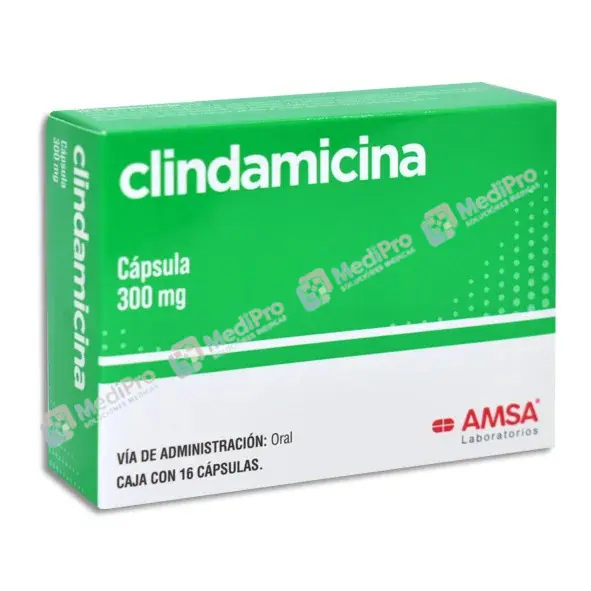 CLINDAMICINA CAPS 300 MG C/16 AMSA