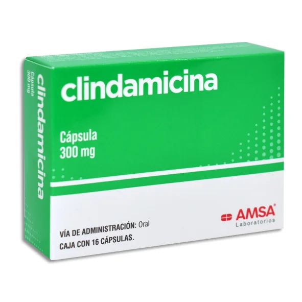 CLINDAMICINA CAPS 300 MG C/16 AMSA