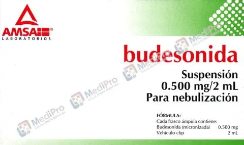 BUDESONIDA (Amsa) SUSP. p/Nebn. c/5 FCO. AMP. 0.500 MG/2 ML.