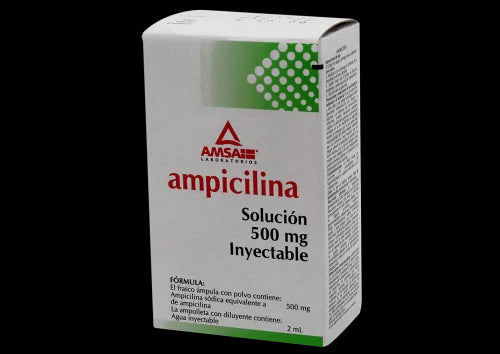 AMPICILINA INY 500 MG C/1  AMSA