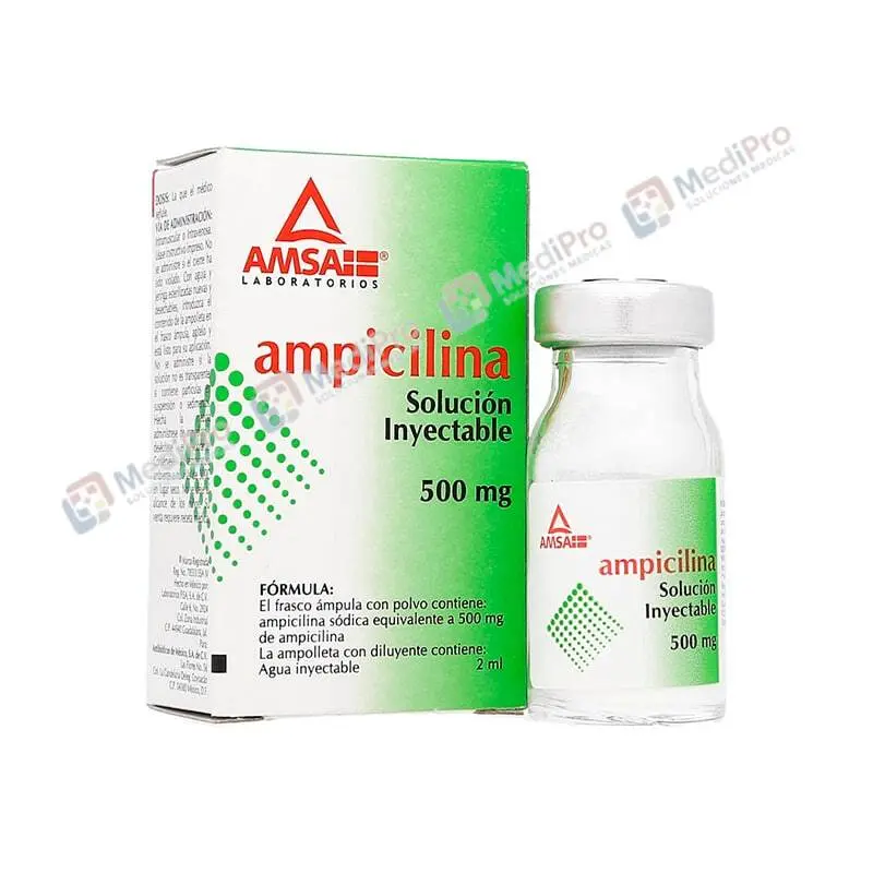 AMPICILINA INY 500 MG C/1  AMSA