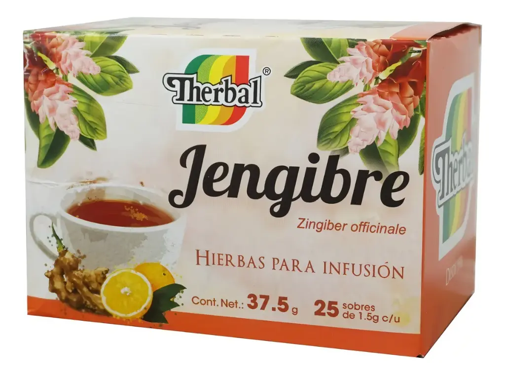 TE DE JENGIBRE SOBRES 1 G C/25 THERBAL