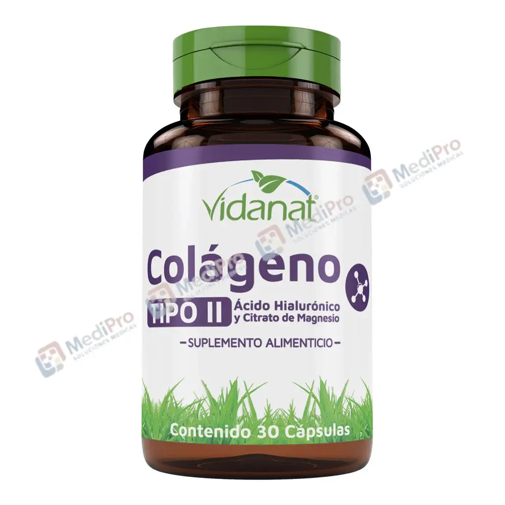Colageno Tipo II Acido Hialuronico Magnesio 30 Cap Vidanat.