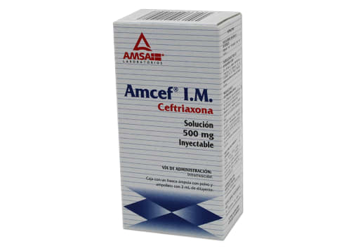 AMCEF I.M. 500MG C/1 (CEFTRIAXONA/LIDOCAINA)