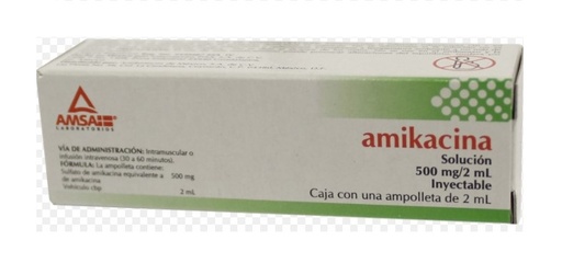 AMIKACINA GI IM-IV 500 MG INY 1*AMS (AMIKACINA)