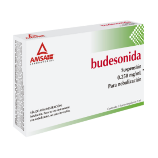 BUDESONIDA SUSP P/NEB C/5 AMP 2ML 0.250MG AMSA