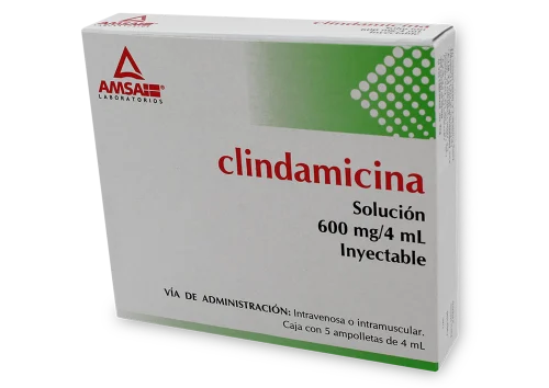 CLINDAMICINA SOL INY 600 ML/4 ML C/5 AMSA