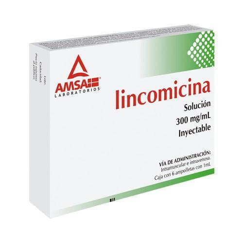 [000179] LINCOMICINA 300 MG SOL INY C/6 AMP