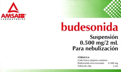 BUDESONIDA (Amsa) SUSP. p/Nebn. c/5 FCO. AMP. 0.500 MG/2 ML.