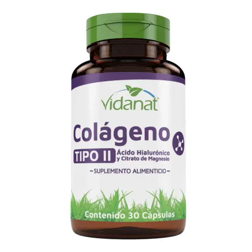 [000194] Colageno Tipo II Acido Hialuronico Magnesio 30 Cap Vidanat.